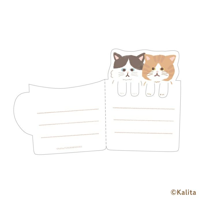 Furukawa Paper x Kalita Folded Mini Note Cards - Caramel Coffee