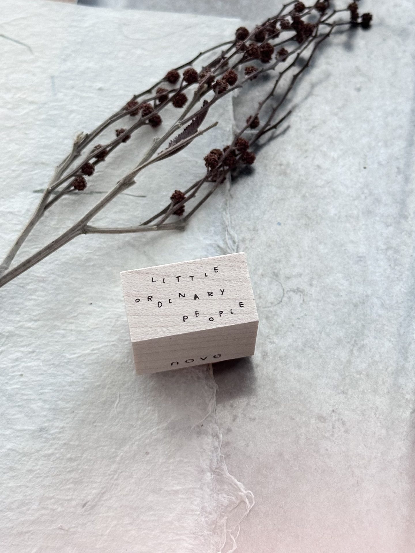 Nove Little Ordinary People Words Rubber Stamps
