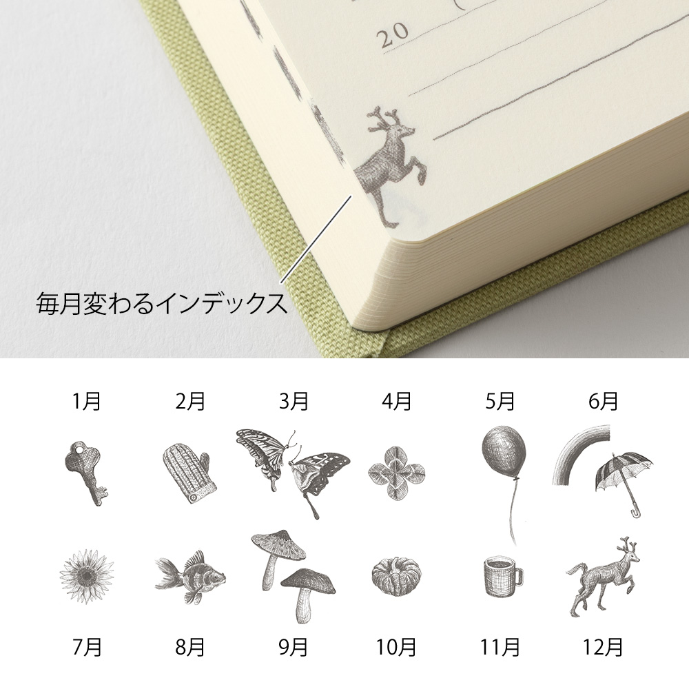 Midori 5-Year Diary - Light Green