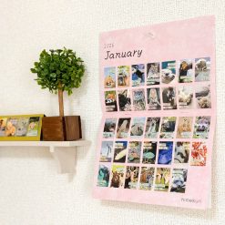 Himekuri Desktop Daily Calendar 2026 Cats