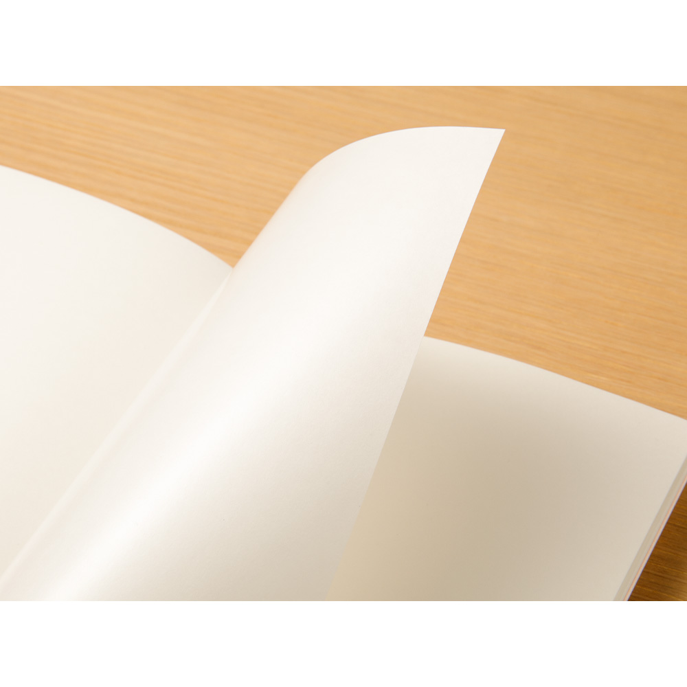 TRAVELER'S Notebook Refill 031 - Sticker Release Paper