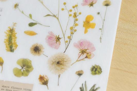 Mu Print On Stickers Pressed Flowers transfer stickers