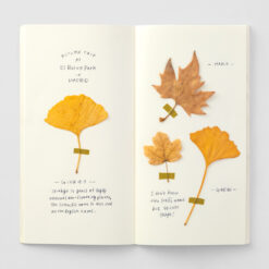 TRAVELER'S Notebook Refill 025 - MD Paper Cream - Image 4
