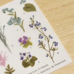 MU Print-On Stickers - Flower Encyclopedia - Image 5