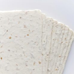 Awagami Sawdust Postcard Set