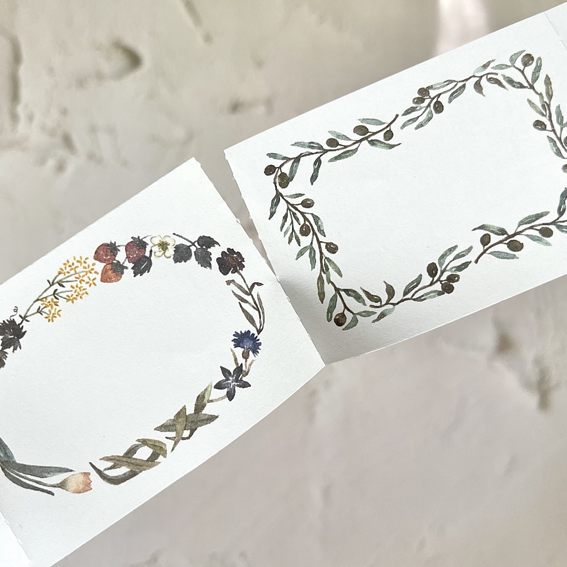 Pion Washi Tape - Frame