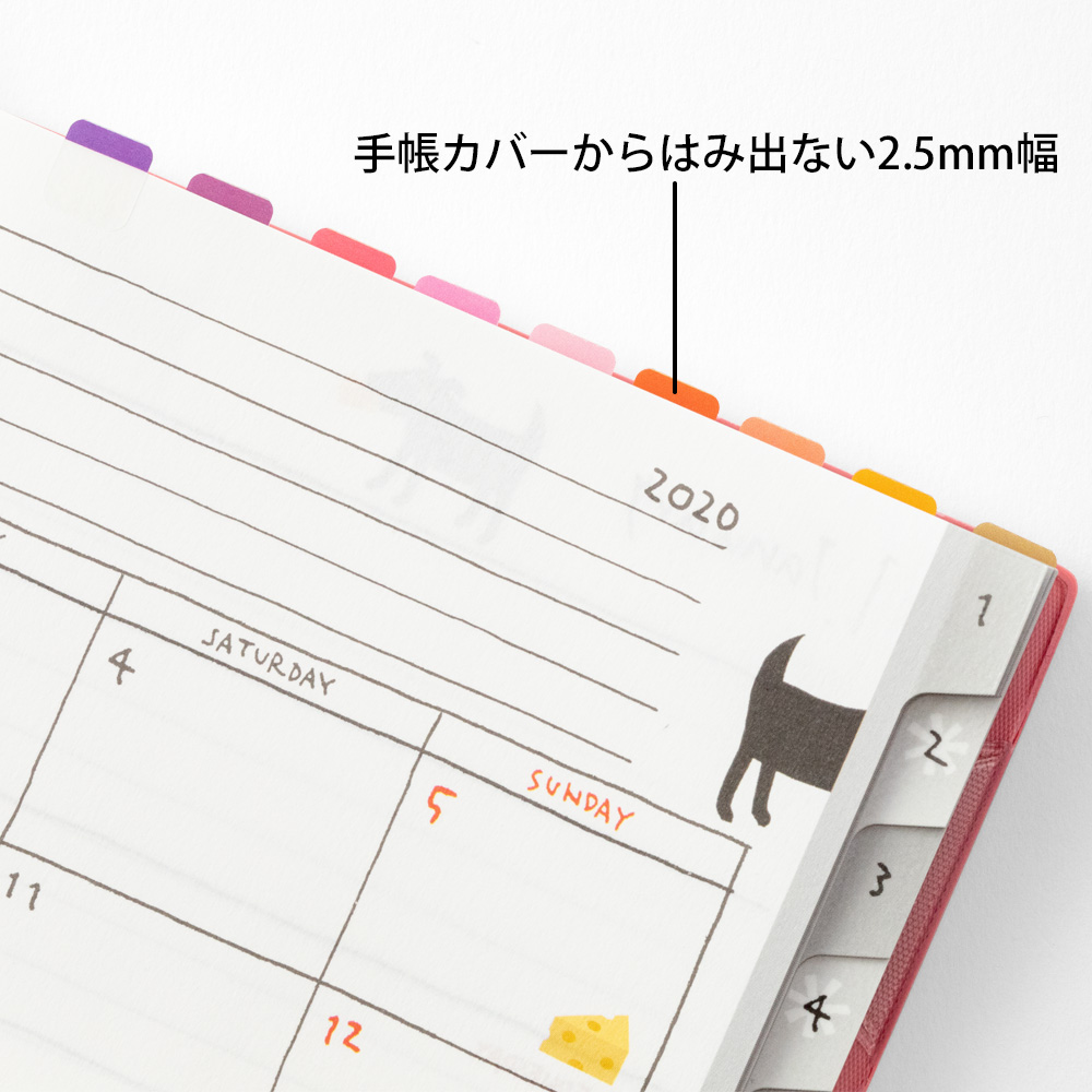 Midori Index Label Chiratto 24 Colours Vivid