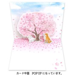 Pop-Up Greeting Card - Shiba Inu And Sakura
