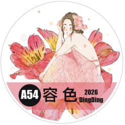 DingDing Kiss-cut PET Tape A54 - Image 3