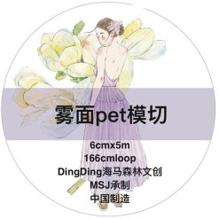DingDing Kiss-cut PET Tape A55 - Image 3