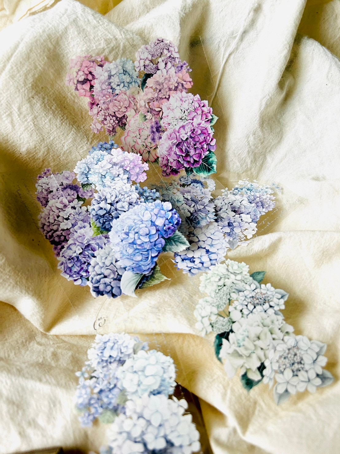 Loidesign Glossy PET Tape - Rain Colour Hydrangeas