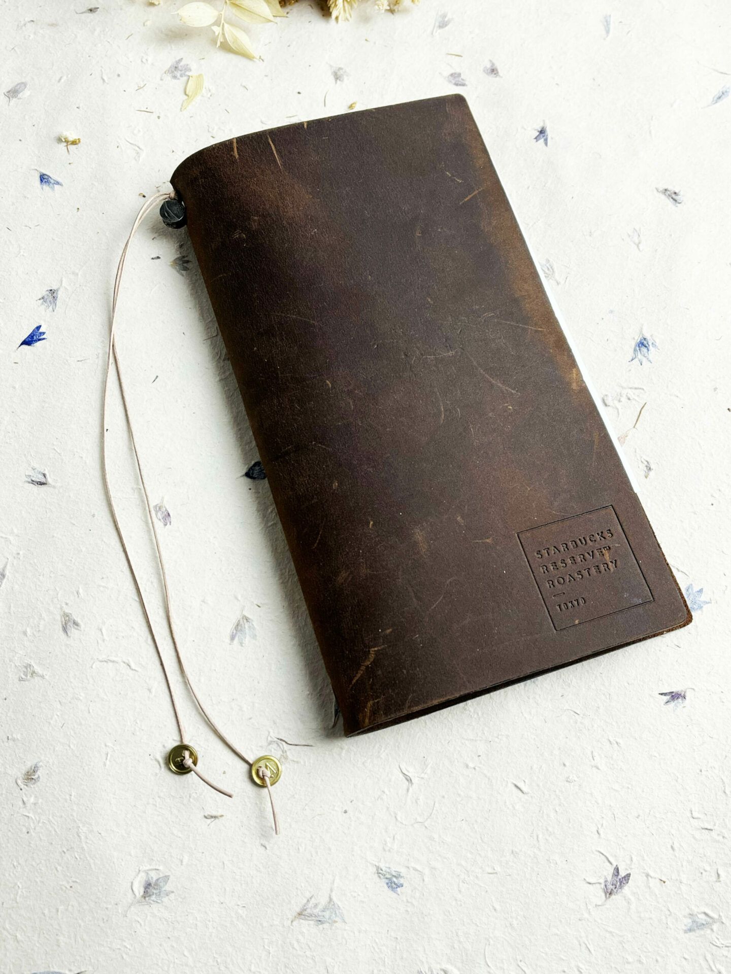 Baum-kuchen Brass Mini Charm - Paper Airplane