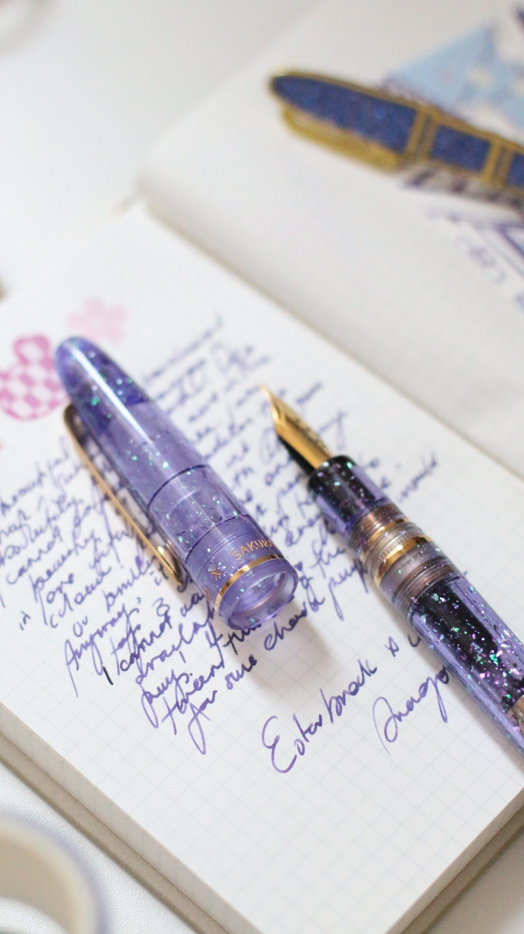Esterbrook Sakura Street Estie Fountain Pen - Image 12