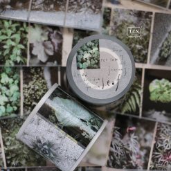 Lin Chia Ning Tape Journey - Leaf (washi or PET) - Image 3