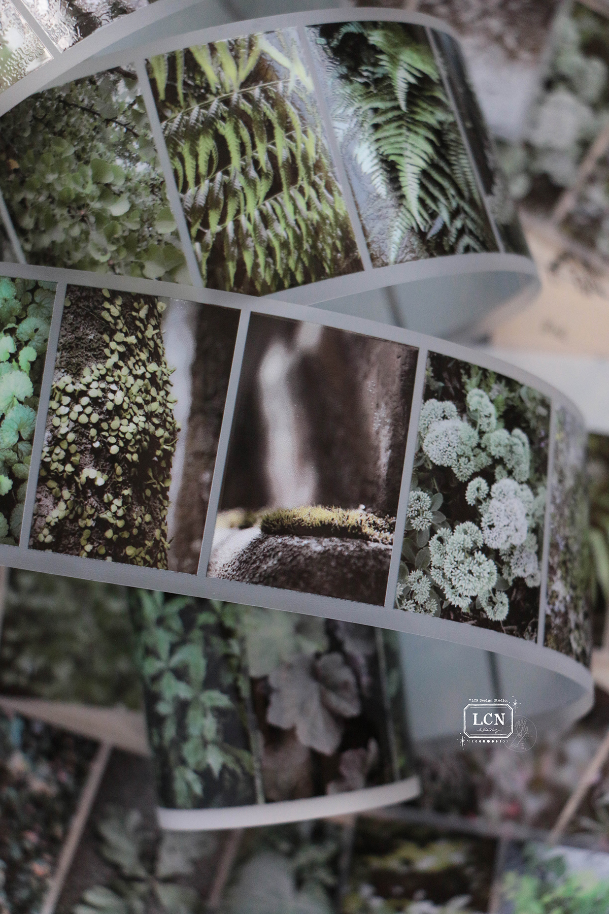 Lin Chia Ning Tape Journey - Leaf (washi or PET) - Image 4