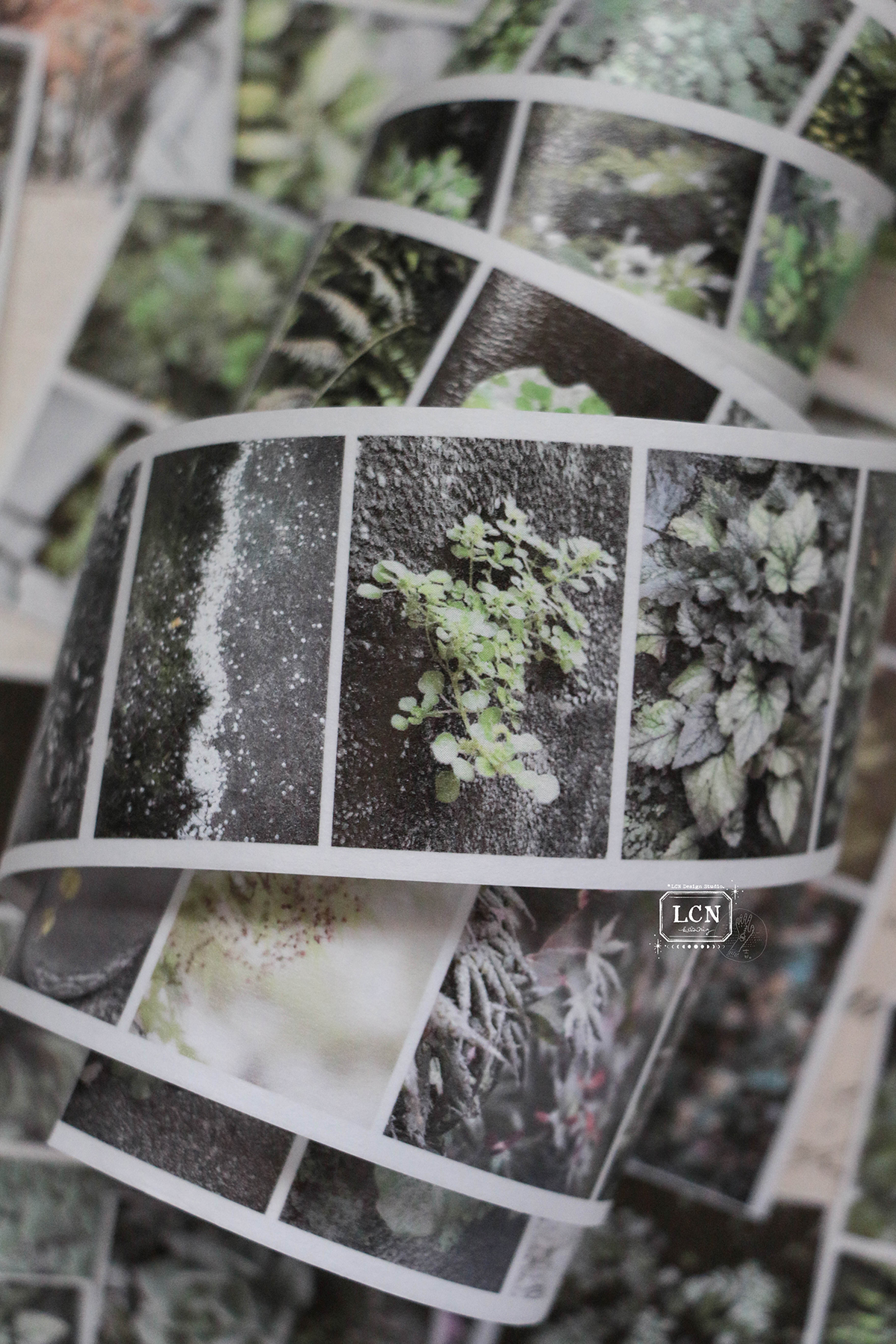 Lin Chia Ning Tape Journey - Leaf (washi or PET) - Image 6