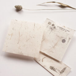 MU Natural Textured Paper - New 2023