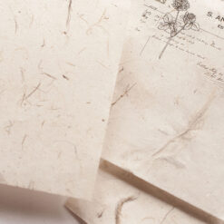 MU Natural Textured Paper - New 2023