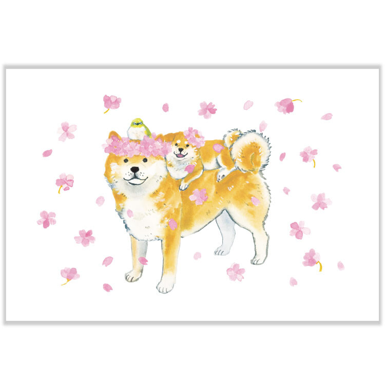 Natsuka Murata Postcard - Spring Shibainus and Sakura