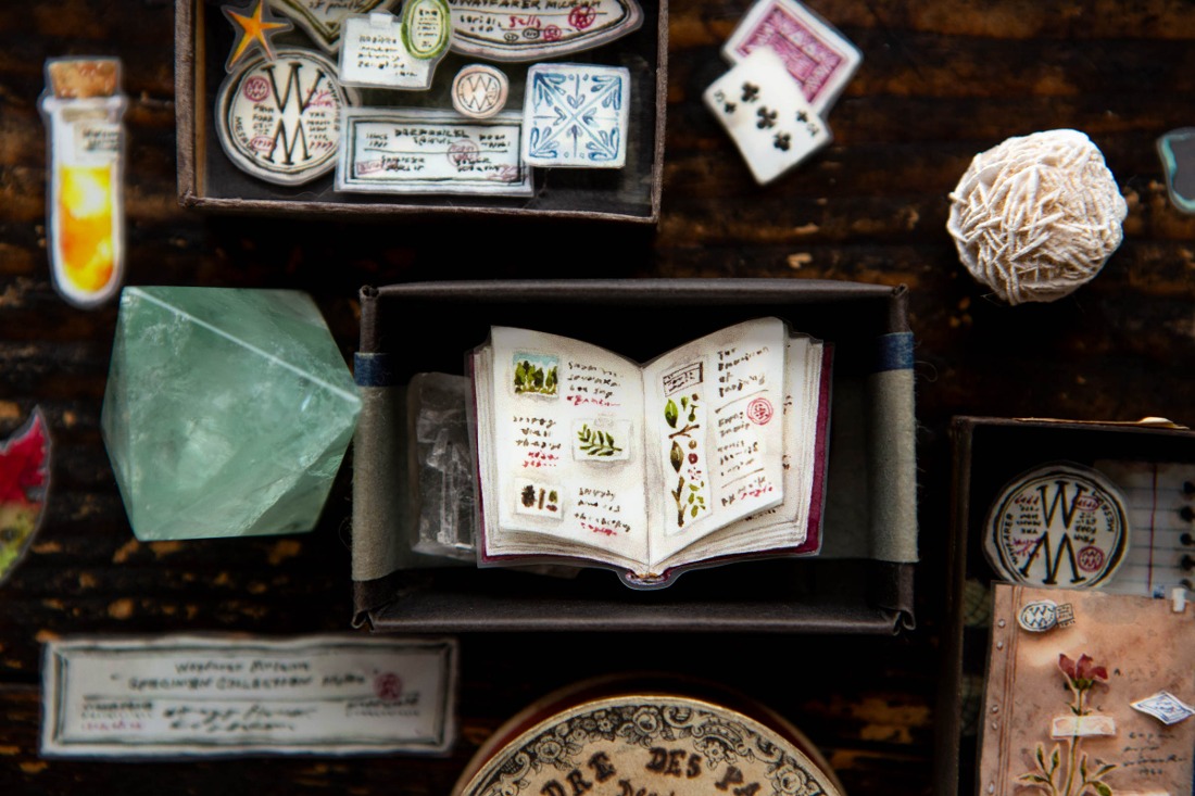 OURS Studio Desk of Botanist PET Tape