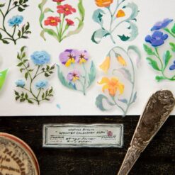 OURS Studio The Wayfarer's Journal PET Tape