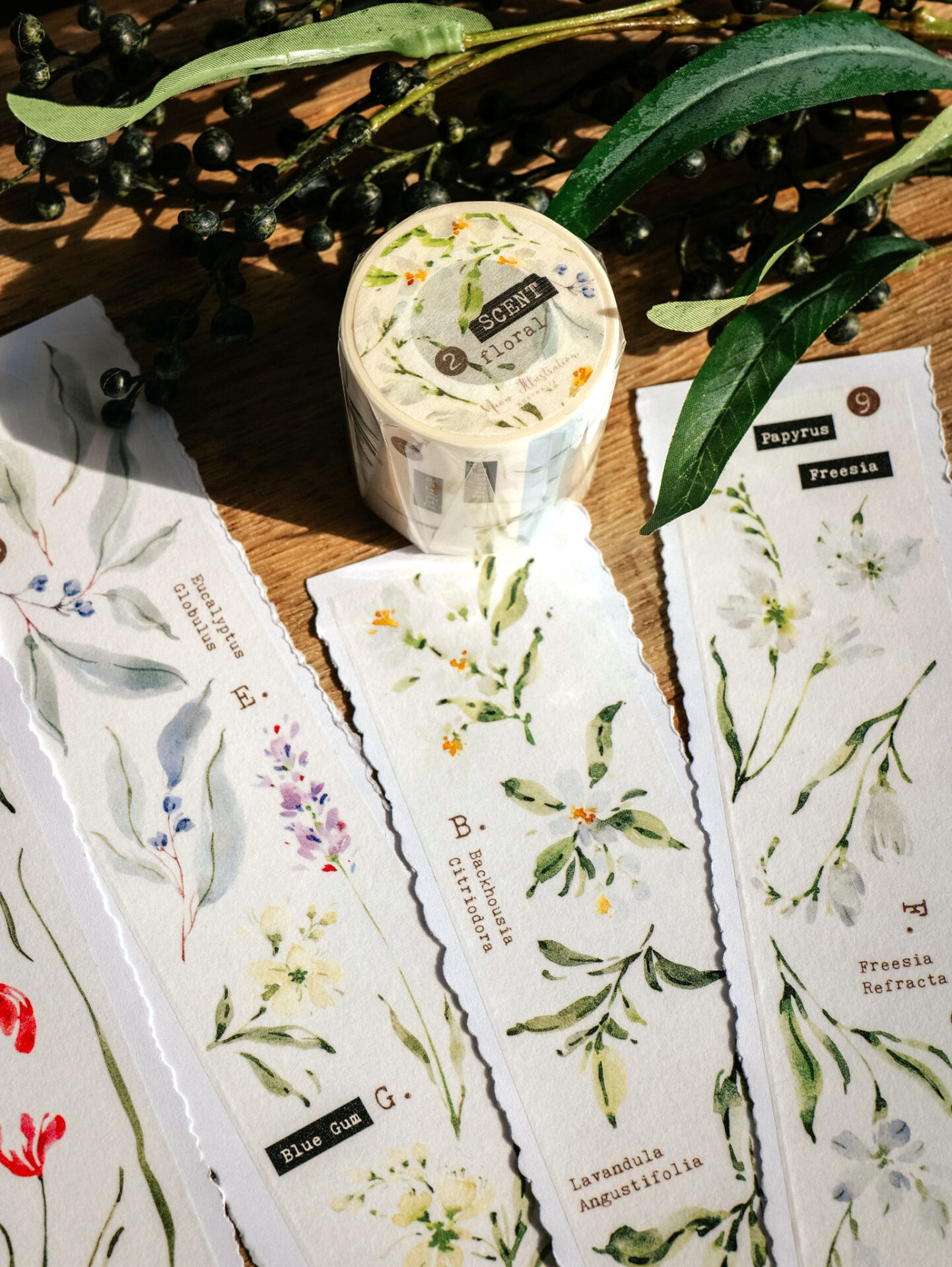Meow Illustration Tape - Scent.floral