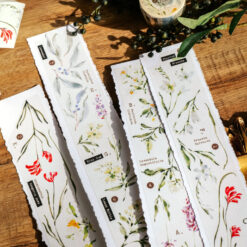 Meow Illustration Tape - Scent.floral