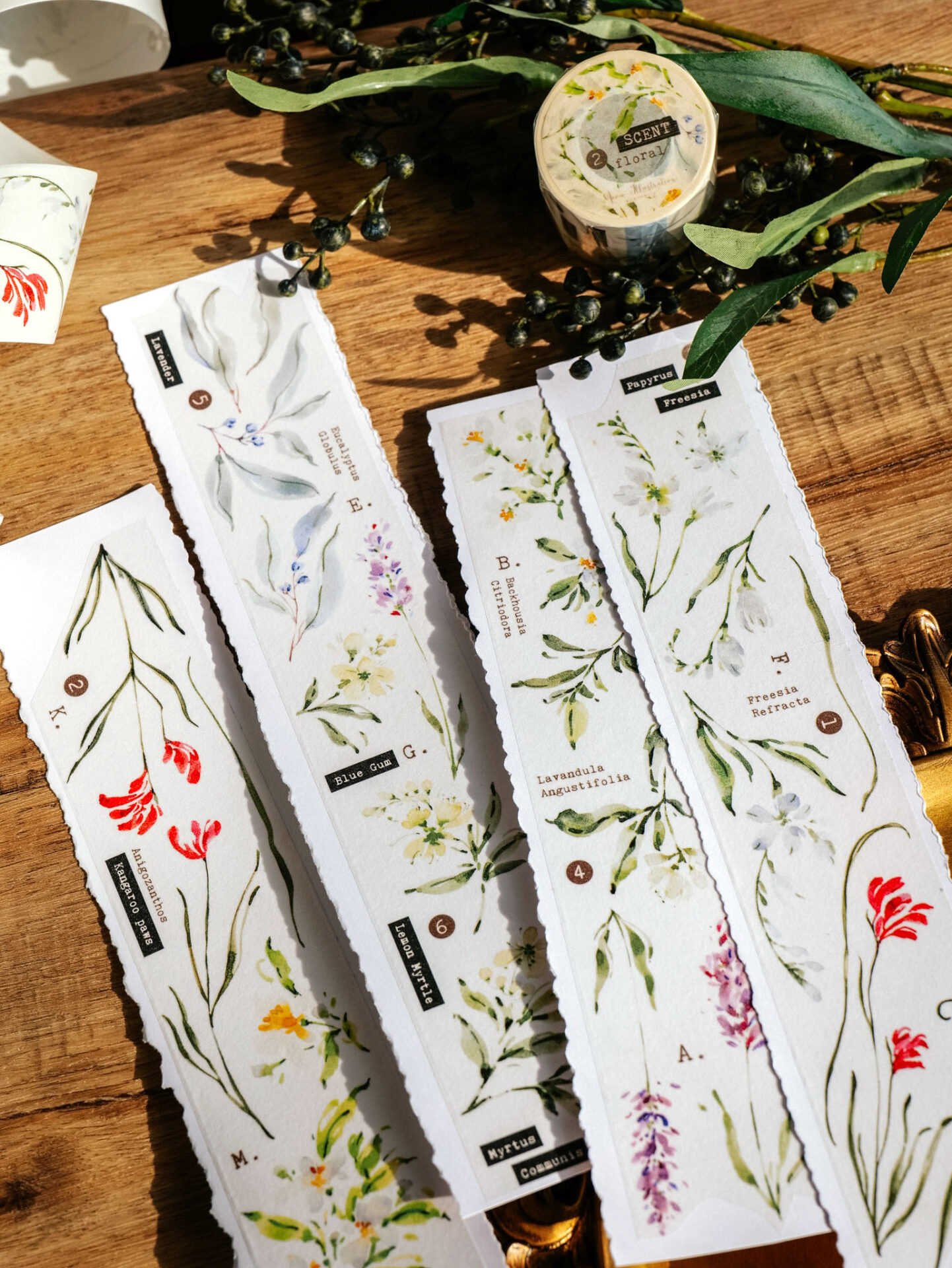 Meow Illustration Tape - Scent.floral