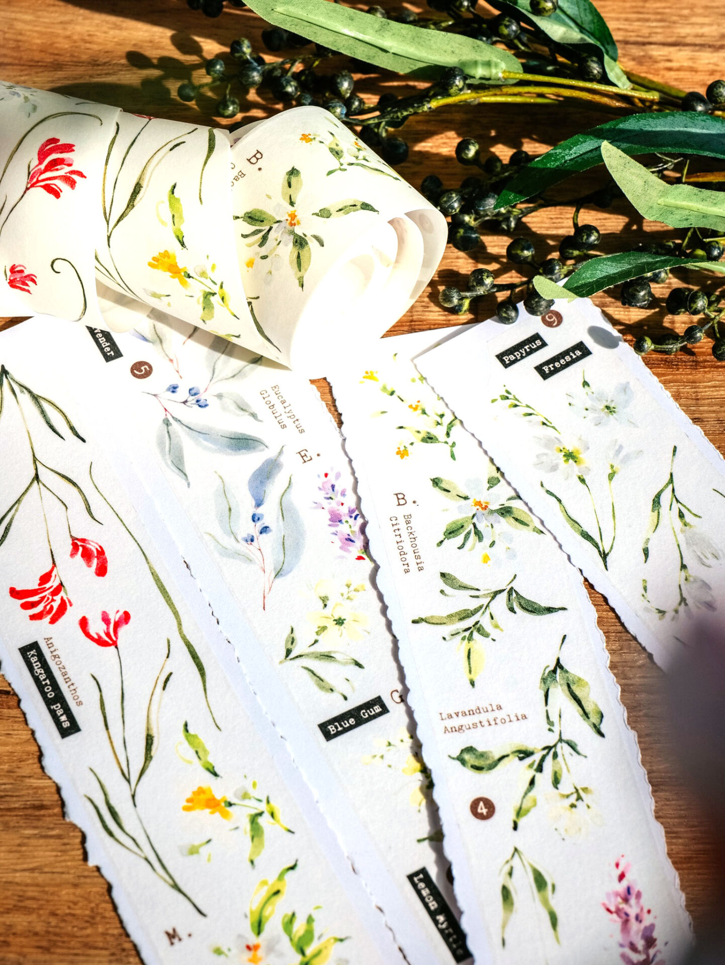 Meow Illustration Tape - Scent.floral - Image 16