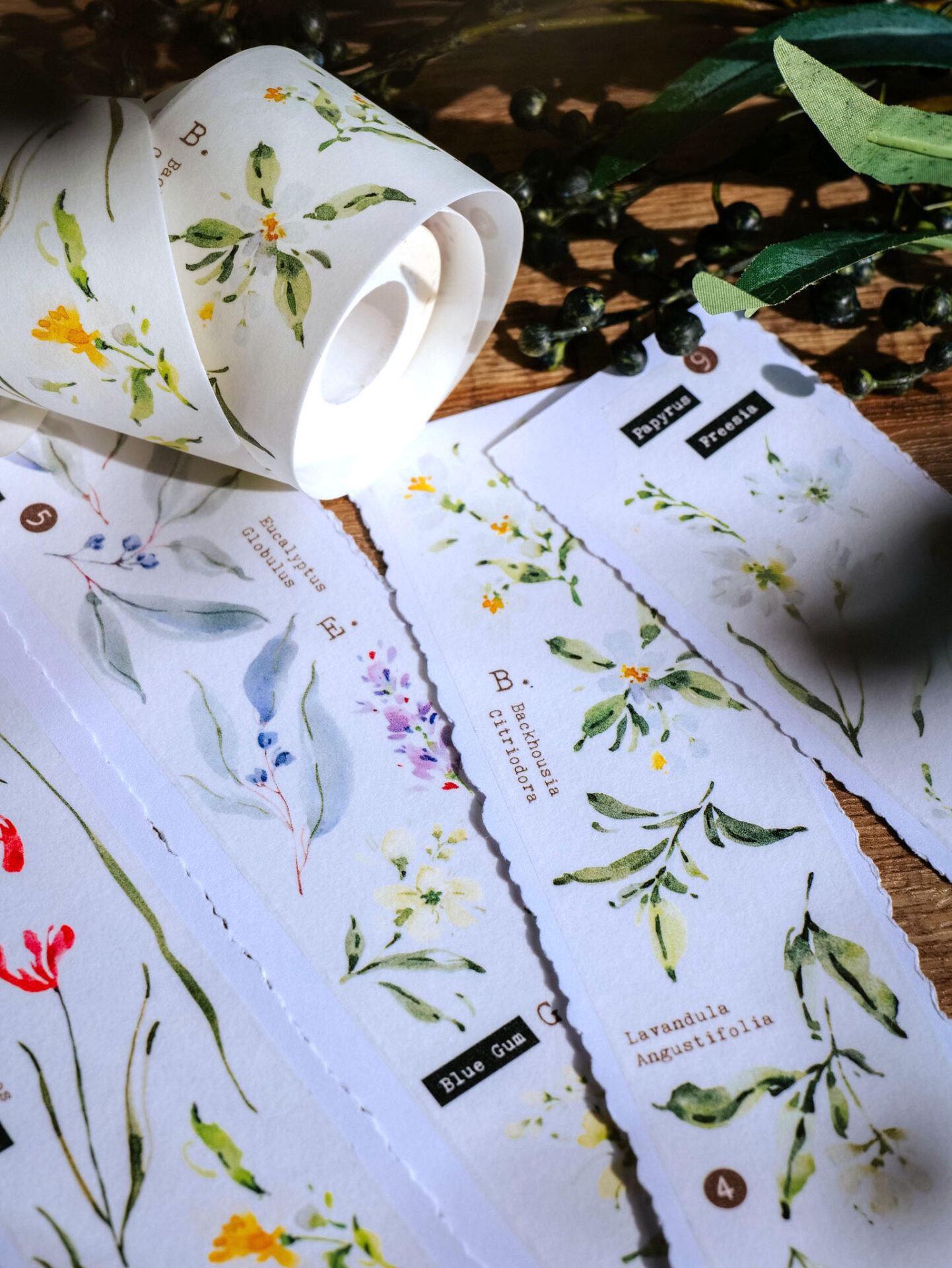 Meow Illustration Tape - Scent.floral - Image 17