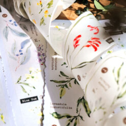 Meow Illustration Tape - Scent.floral