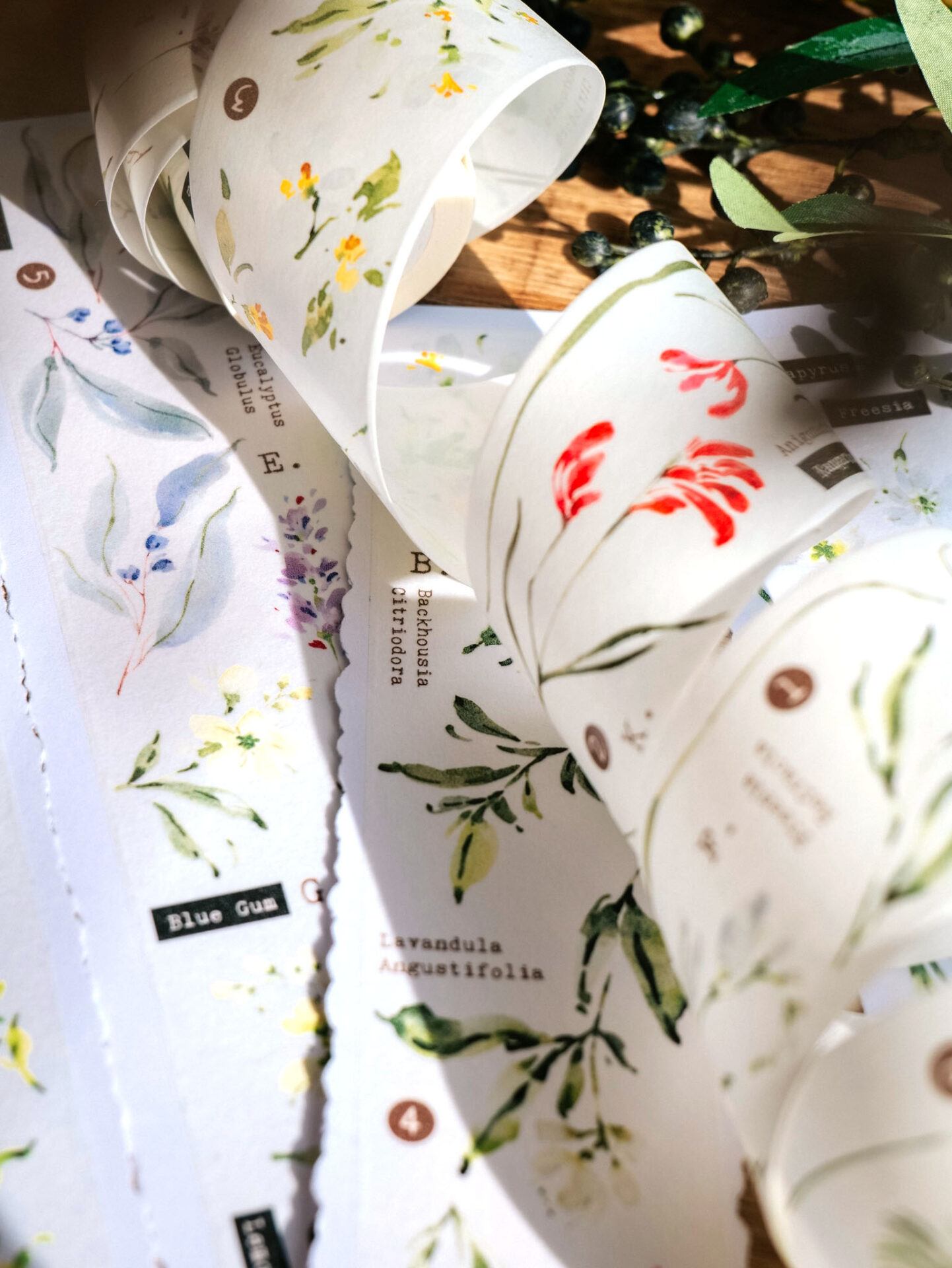 Meow Illustration Tape - Scent.floral