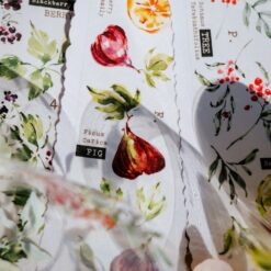 Meow Illustration Tape - Scent.fruity