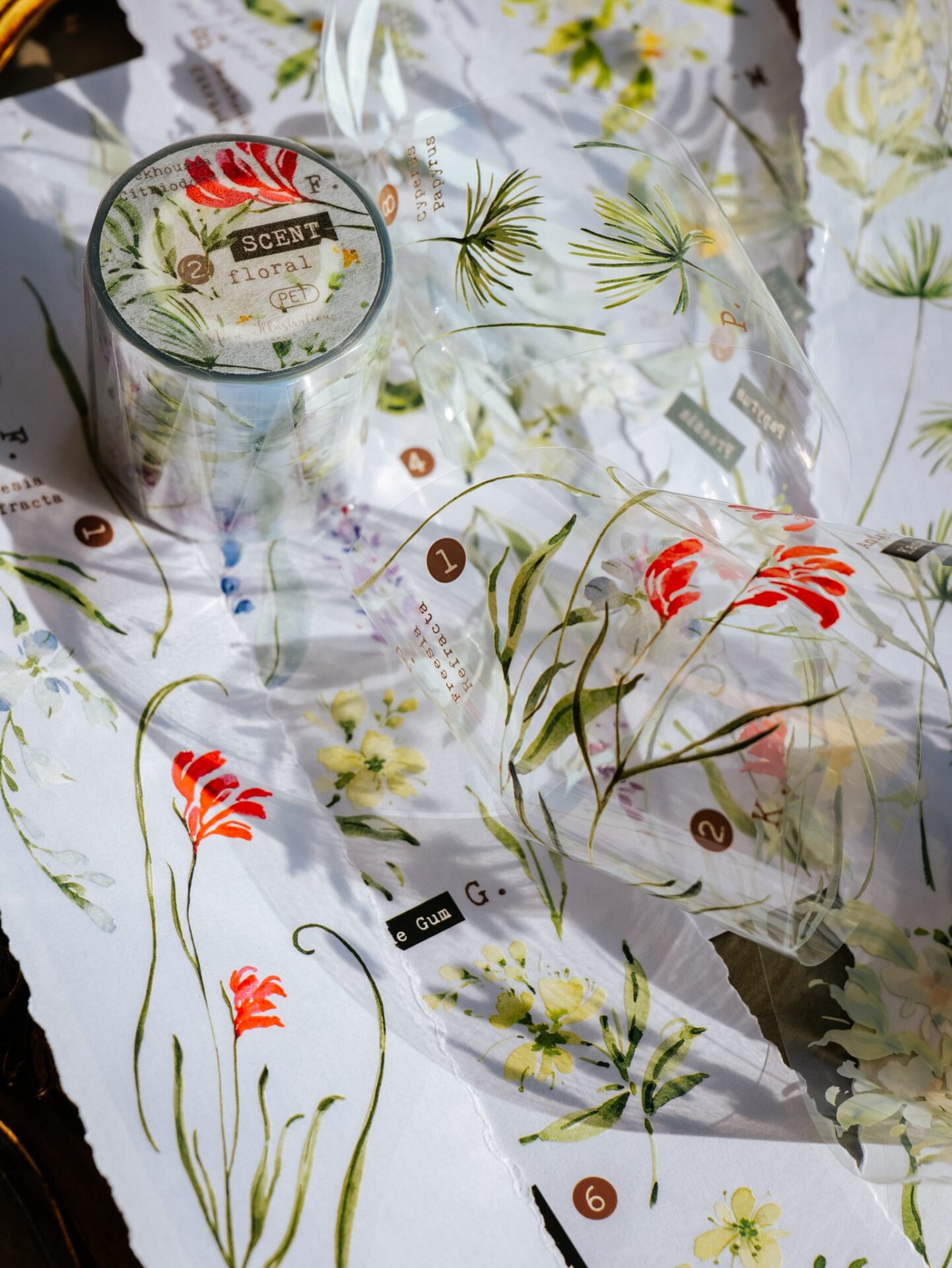 Meow Illustration Tape - Scent.floral