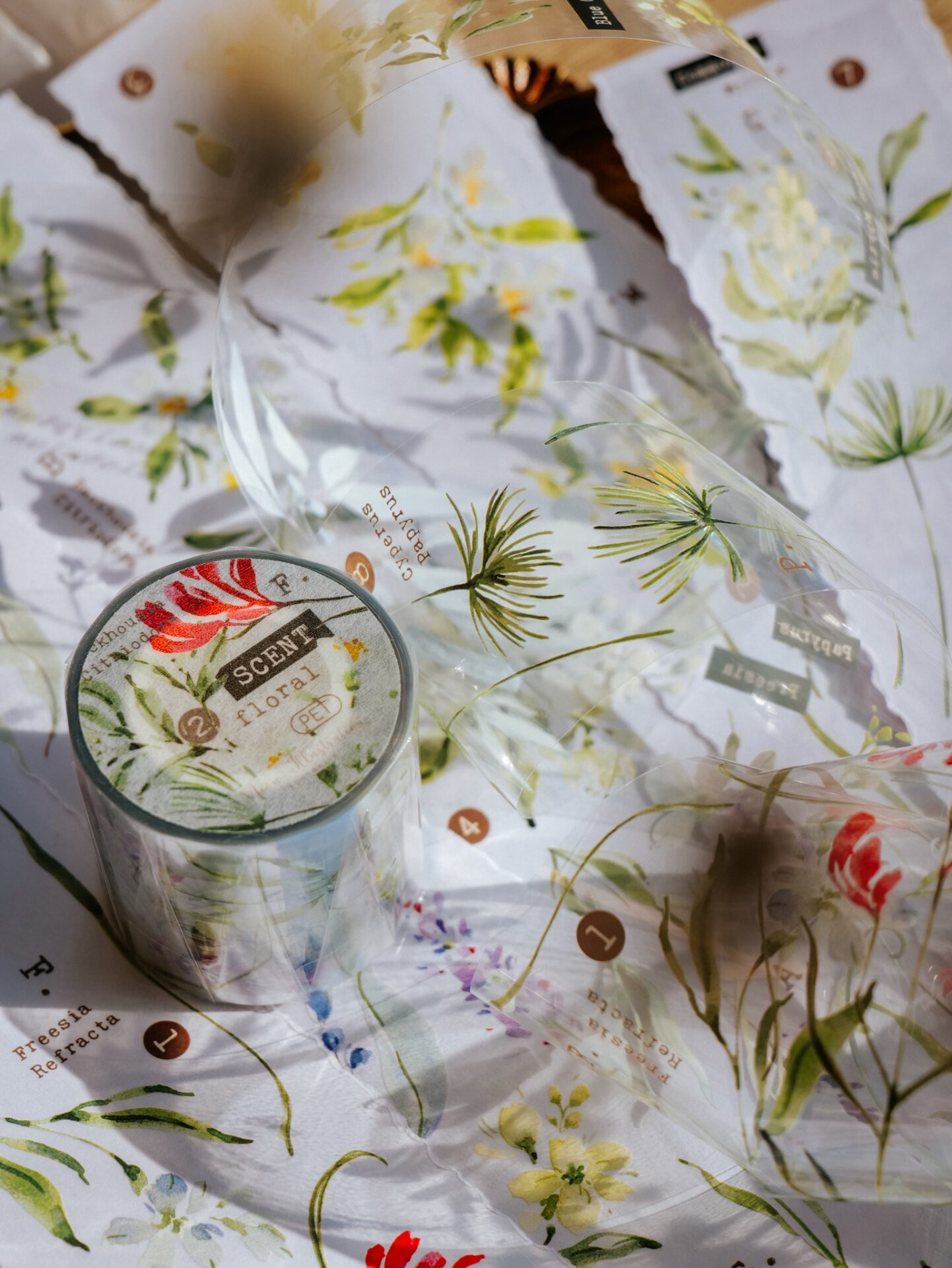 Meow Illustration Tape - Scent.floral