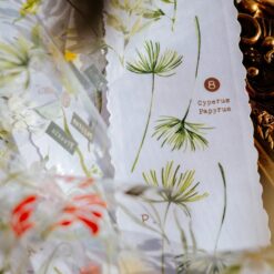 Meow Illustration Tape - Scent.floral
