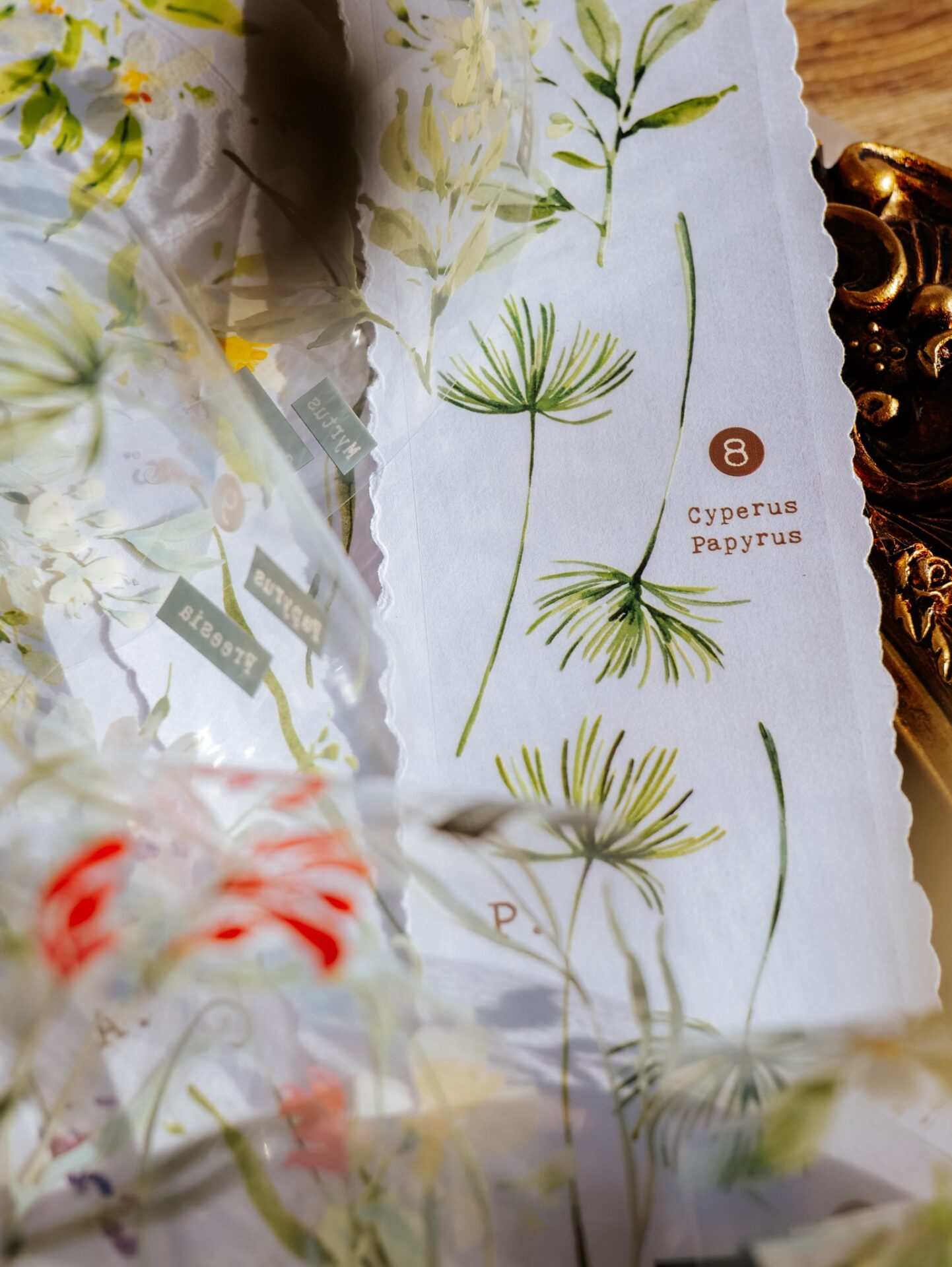 Meow Illustration Tape - Scent.floral