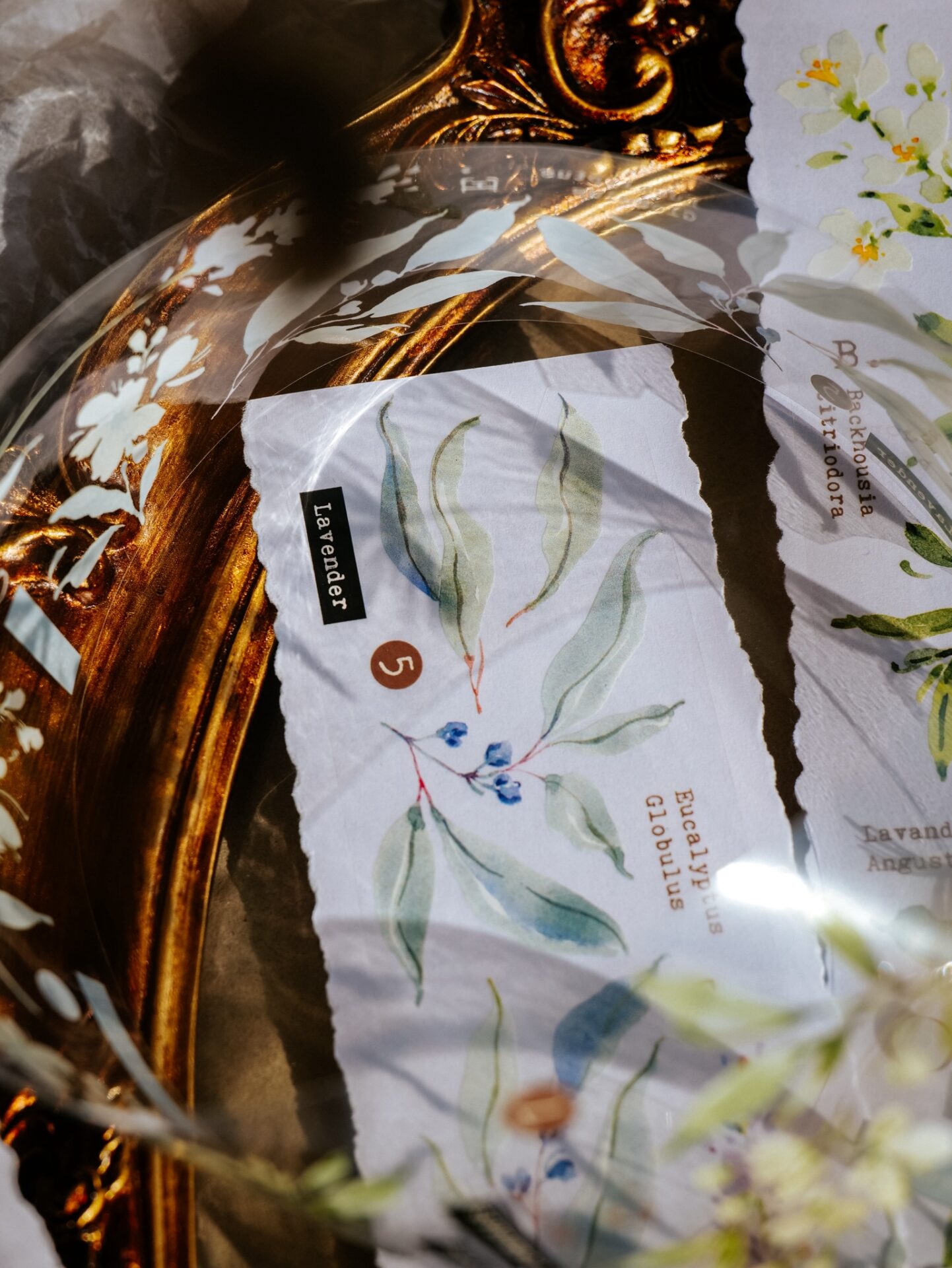 Meow Illustration Tape - Scent.floral - Image 8