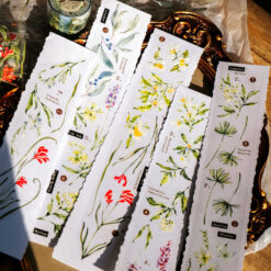 Meow Illustration Tape - Scent.floral