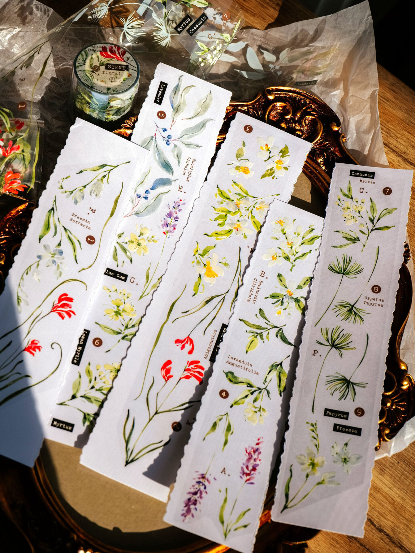 Meow Illustration Tape - Scent.floral