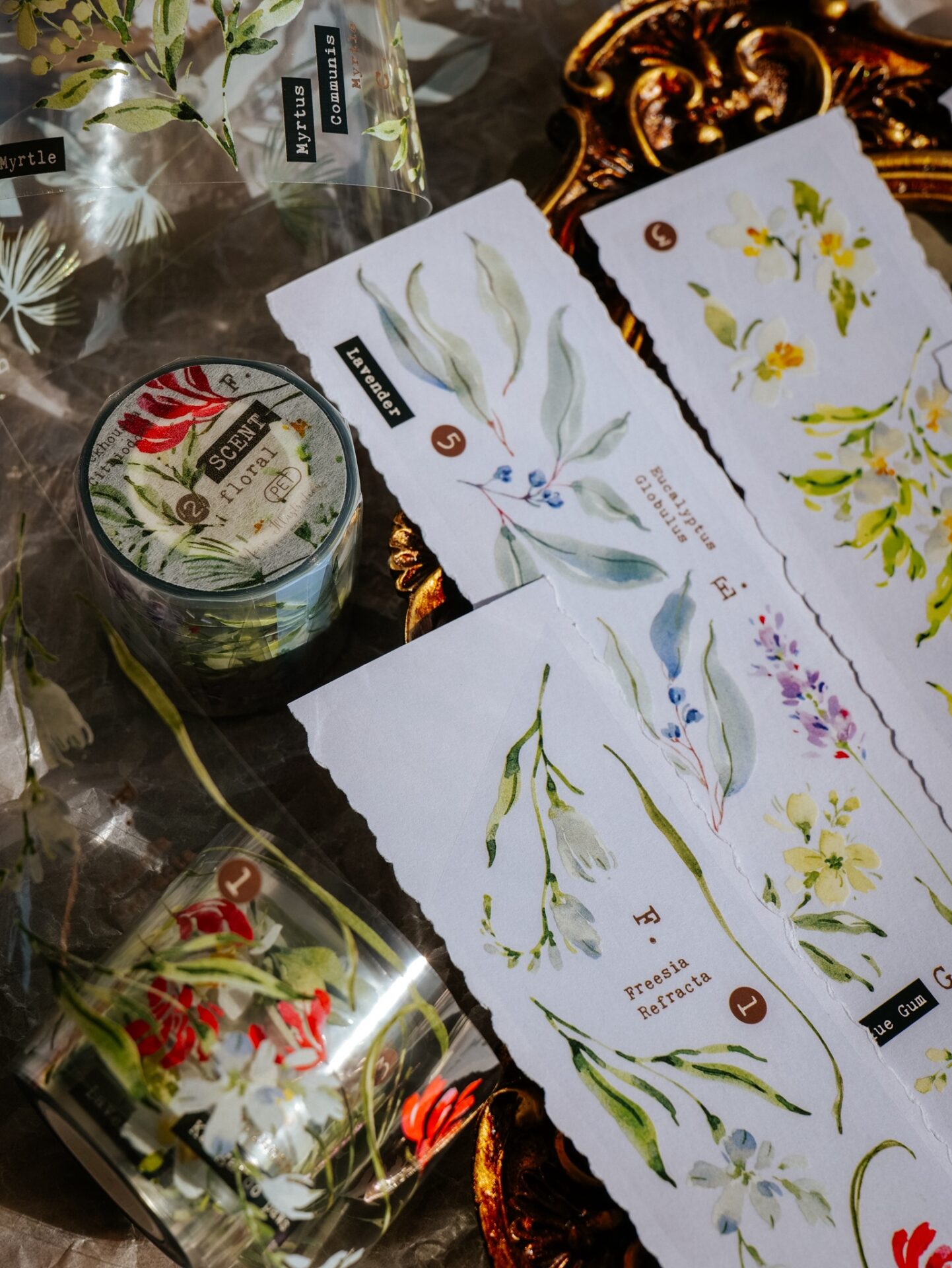 Meow Illustration Tape - Scent.floral - Image 10