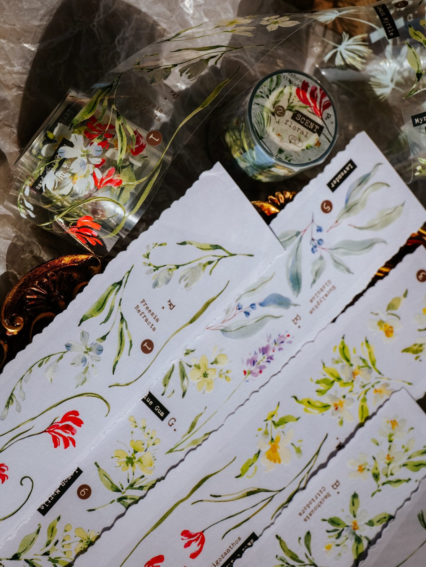 Meow Illustration Tape - Scent.floral - Image 11