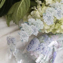 Loidesign Glossy PET Tape - Rain Colour Hydrangeas