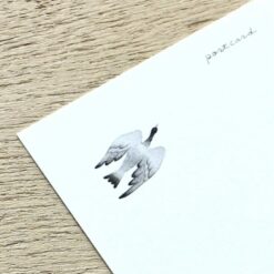 Cozyca Midori Asano Postcard Set - Birds