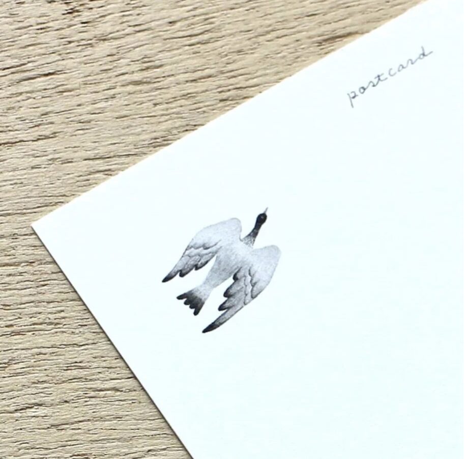 Cozyca Midori Asano Postcard Set - Birds