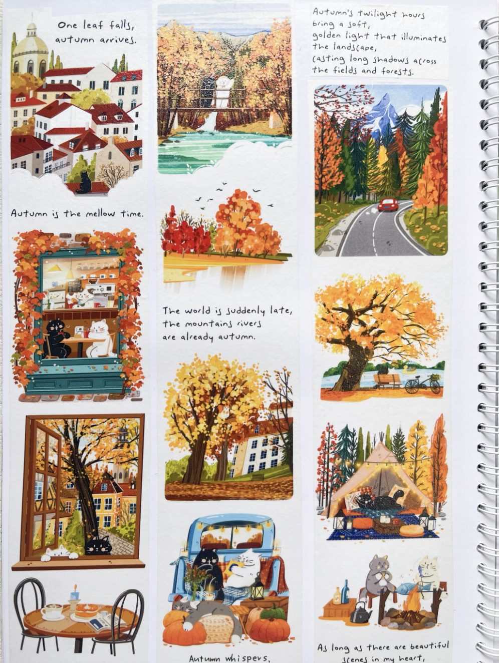 Xiami Studio Washi Tape - Autumn