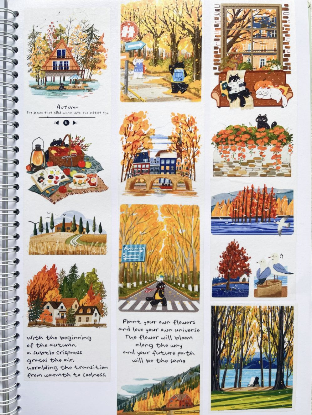 Xiami Studio Washi Tape - Autumn