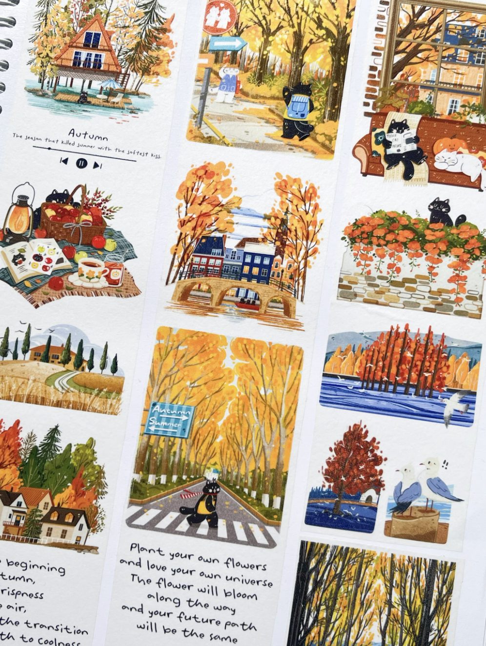 Xiami Studio Washi Tape - Autumn