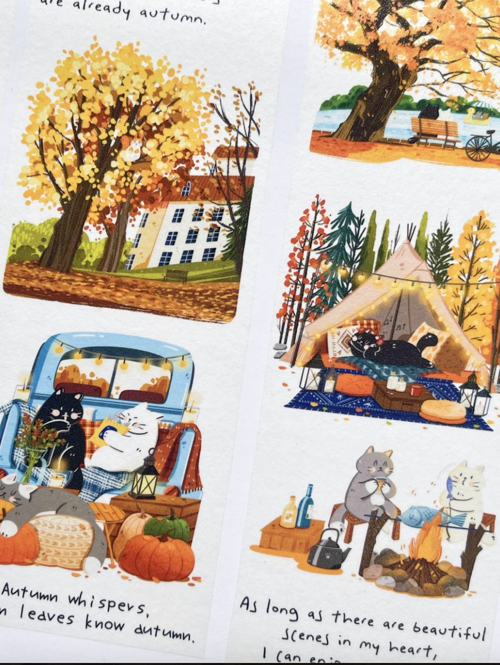 Xiami Studio Washi Tape - Autumn