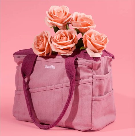 Soolla Studio Bag - Desert Rose